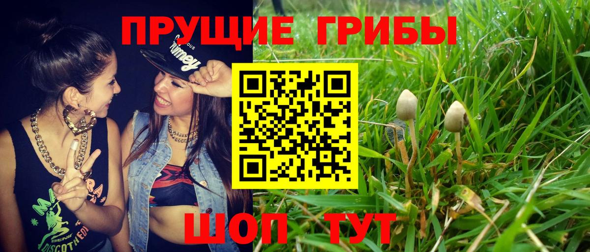 Красноуфимск  Галлюциногенные грибы мицелий  Вход с VPN  Галлюциногенные грибы ЛСД 